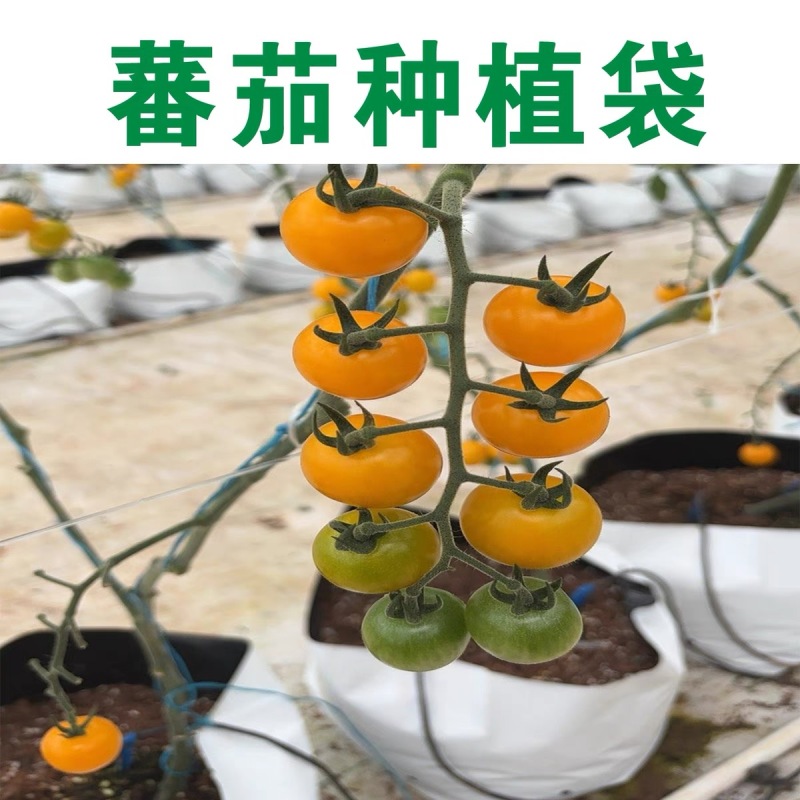 基质种植袋，项目剩余2000个，便宜处理0.6元一个