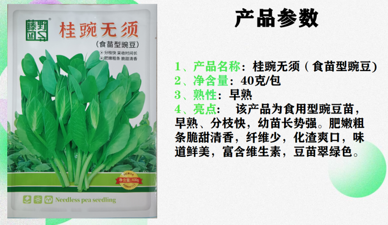 （桂豌无须）食苗型豌豆早熟豆苗翠绿香甜脆嫩味道鲜美