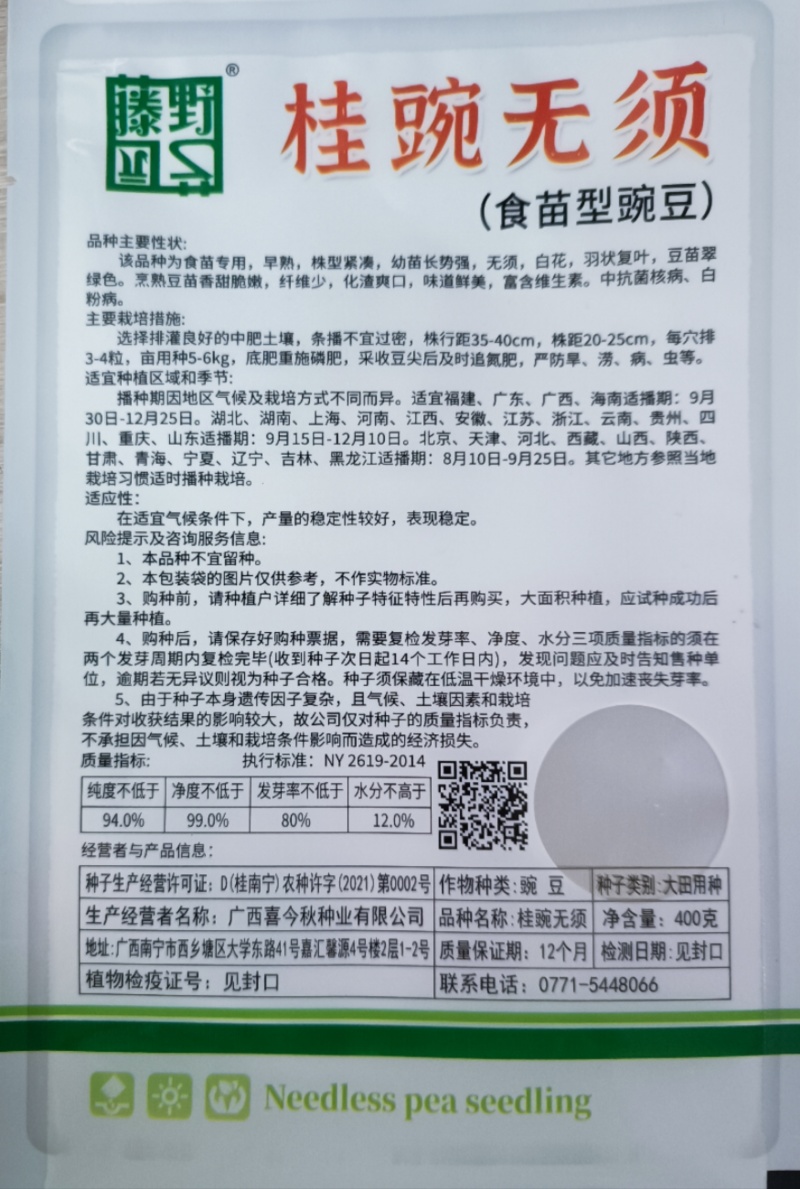 （桂豌无须）食苗型豌豆早熟豆苗翠绿香甜脆嫩味道鲜美