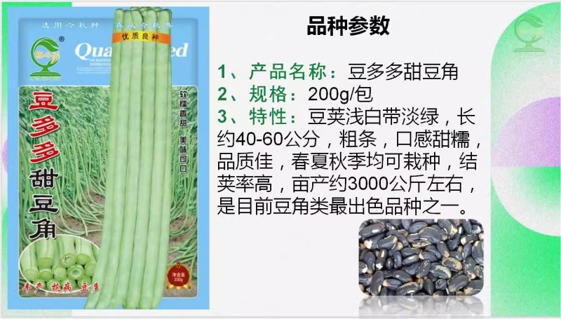 【豆多多甜豆角】早中熟浅绿色黑籽耐湿热无鼠尾