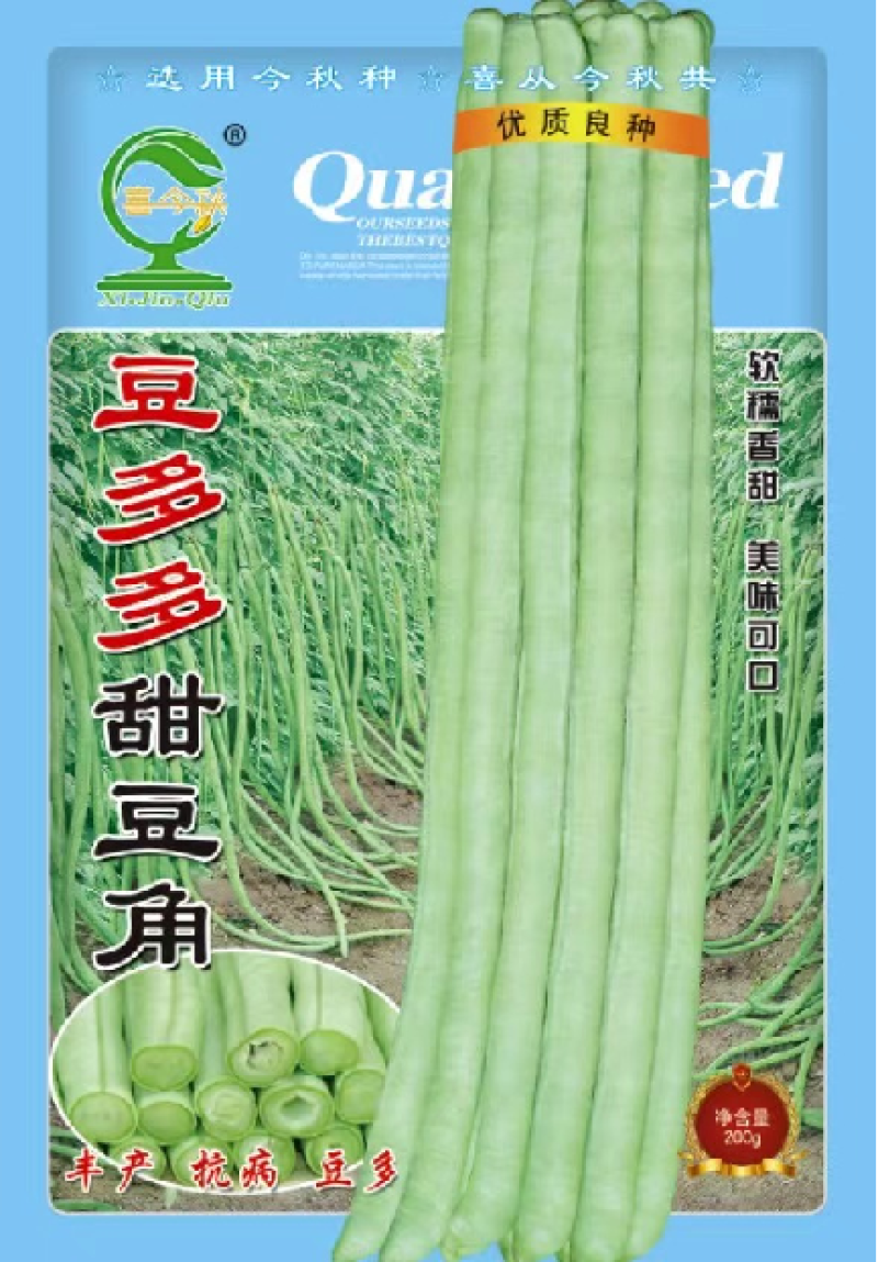 【豆多多甜豆角】早中熟浅绿色黑籽耐湿热无鼠尾