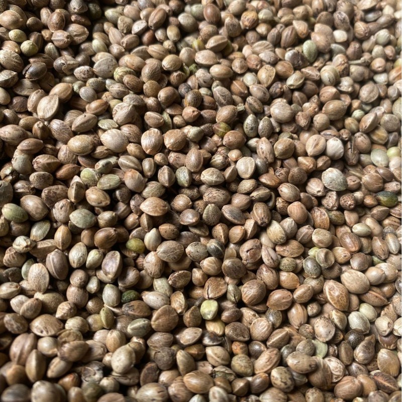 火麻仁批发优质火麻仁一手货源量大价优火麻仁