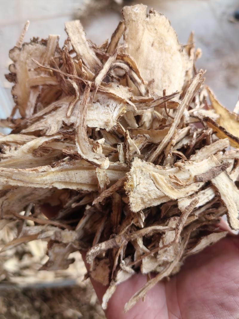 当归经营无硫全归片各种当归片产地直销量大从优欢迎购买