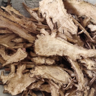 当归经营无硫全归片各种当归片产地直销量大从优欢迎购买