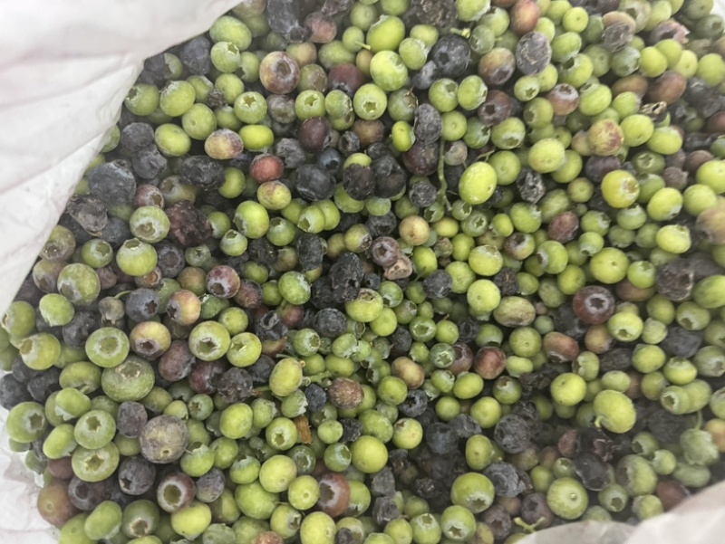 产地直销蓝莓青果冻果冷冻青红豆蓝莓原料速冻青蓝莓打酱果