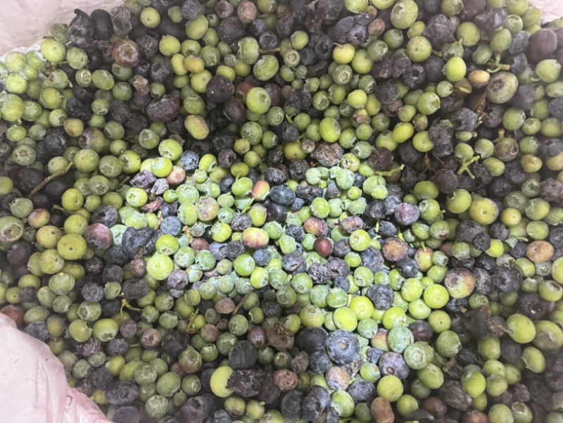 产地直销蓝莓青果冻果冷冻青红豆蓝莓原料速冻青蓝莓打酱果
