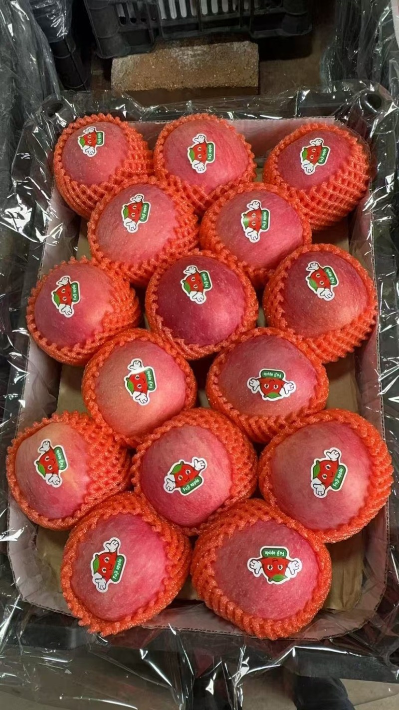 辽南精品富士，产地直发，全国代发，对接电商，质量优选。