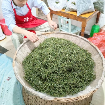 舒城小兰花