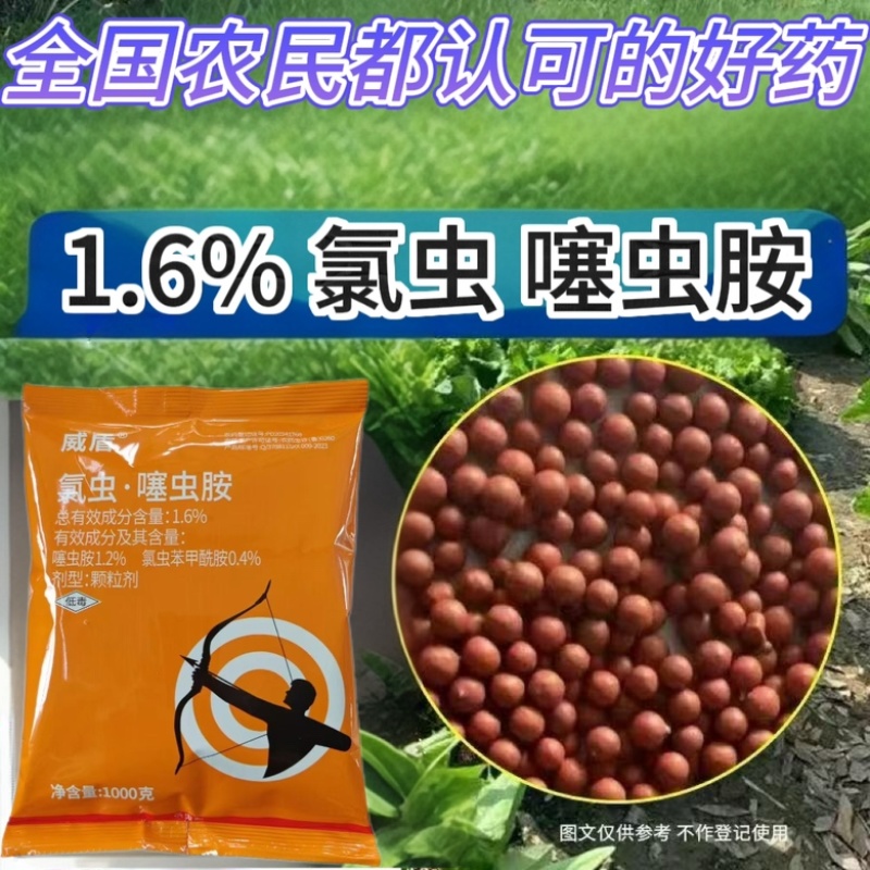 1.6%氯虫噻虫胺地下害虫马铃薯蛴螬金针虫韭蛆