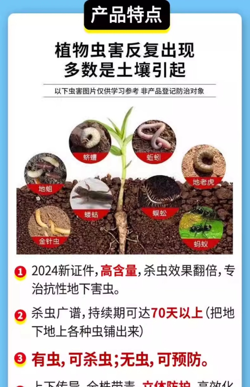 1.6%氯虫噻虫胺地下害虫马铃薯蛴螬金针虫韭蛆