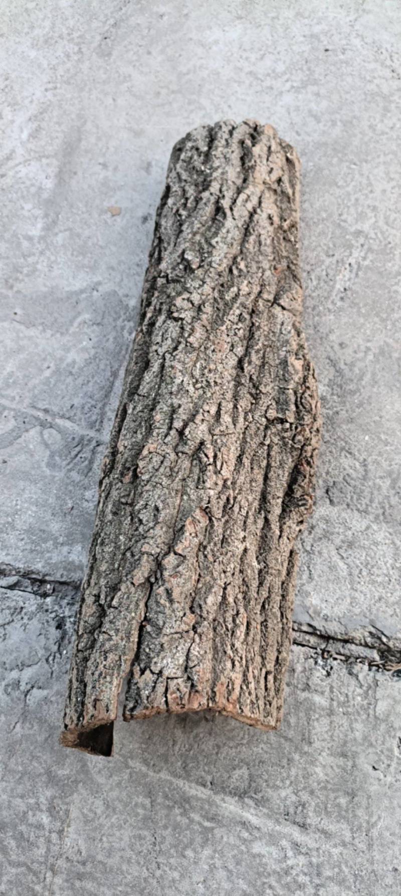 优质杜仲皮，陕西秦岭北坡，纯自然环境生长。品质保证。