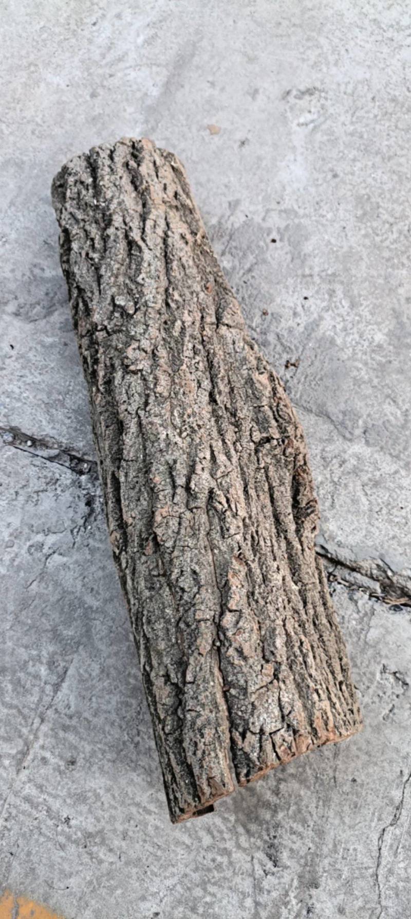 优质杜仲皮，陕西秦岭北坡，纯自然环境生长。品质保证。