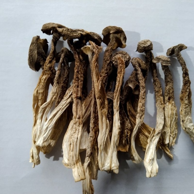 【浓汤杀手】排骨/鸡汤沸腾前撒一把，鲜味瞬间提升3个le
