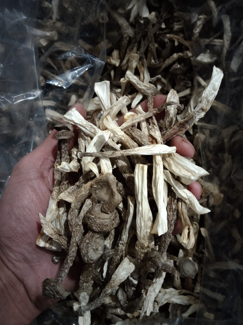 【浓汤杀手】排骨/鸡汤沸腾前撒一把，鲜味瞬间提升3个le