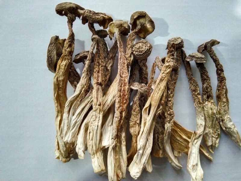 【浓汤杀手】排骨/鸡汤沸腾前撒一把，鲜味瞬间提升3个le