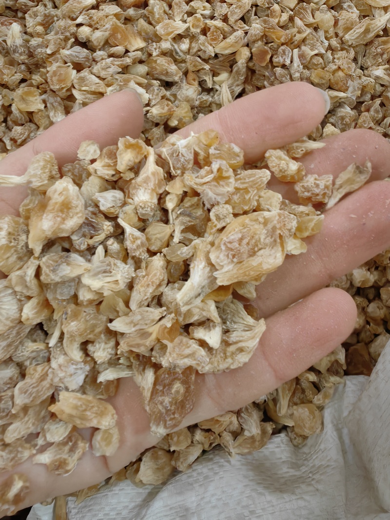 薤白批发薤白规格齐全产地一手货源量大价优