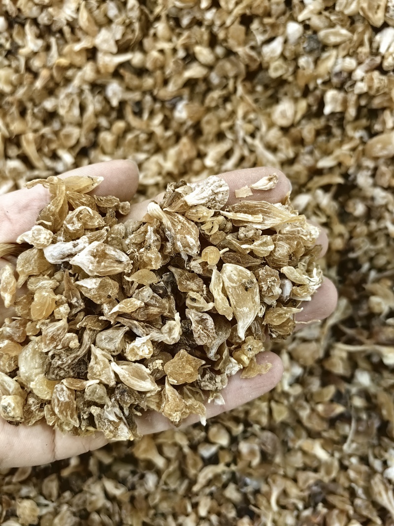 薤白批发薤白规格齐全产地一手货源量大价优