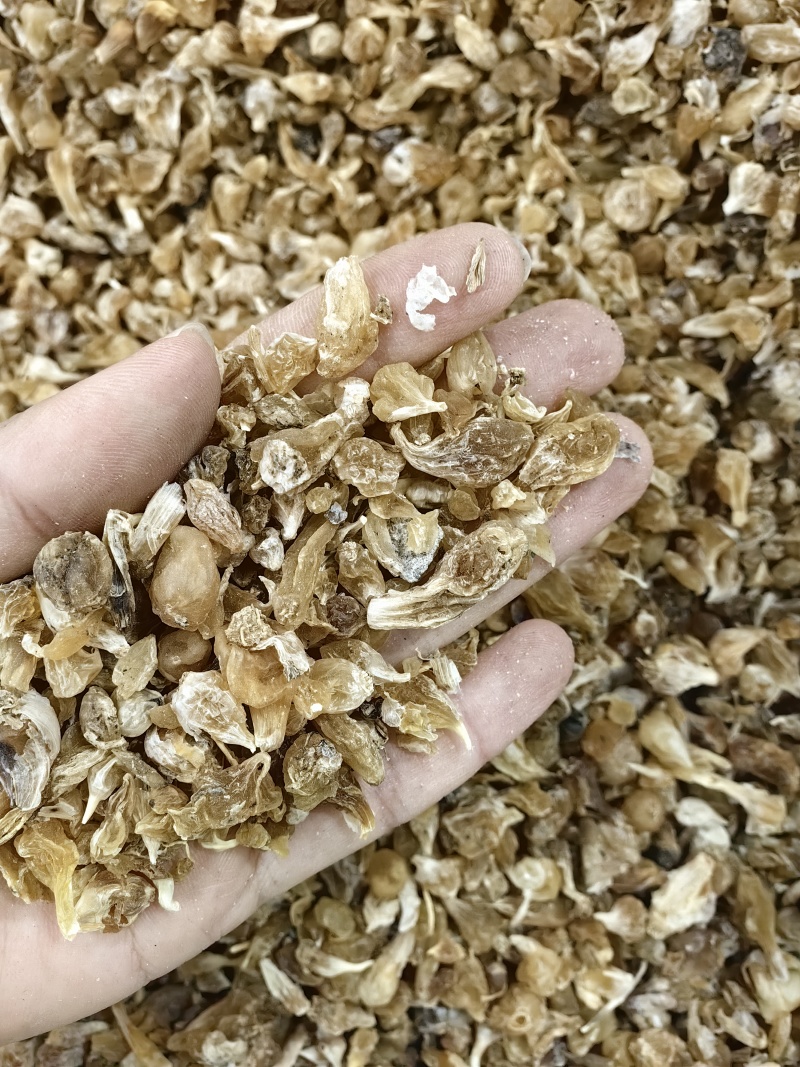 薤白批发薤白规格齐全产地一手货源量大价优