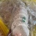 正宗荔浦芋头槟榔芋300g精品荔浦芋头片