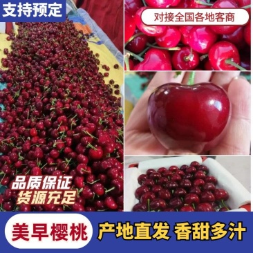 【美早】大棚樱桃，口感脆甜多汁，美观艳丽，是馈赠亲朋好友