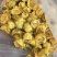 金花茶金茶花防城港基地一手货源直供稳定供货
