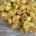 金花茶金茶花防城港基地一手货源直供稳定供货