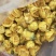 金花茶金茶花防城港基地一手货源直供稳定供货