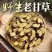 甘肃野生甘草新货无硫多年生优质红皮黄心味浓高含量产地直发