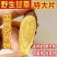 甘肃野生甘草新货无硫多年生优质红皮黄心味浓高含量产地直发