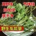 新货车前草野生整颗全草轱辘菜新鲜干货泡茶煮水无硫产地直发