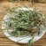 新货车前草野生整颗全草轱辘菜新鲜干货泡茶煮水无硫产地直发