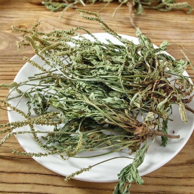 新货车前草野生整颗全草轱辘菜新鲜干货泡茶煮水无硫产地直发