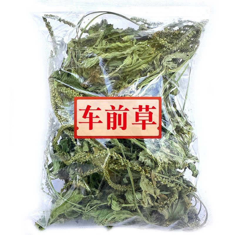 新货车前草野生整颗全草轱辘菜新鲜干货泡茶煮水无硫产地直发