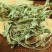 新货车前草野生整颗全草轱辘菜新鲜干货泡茶煮水无硫产地直发