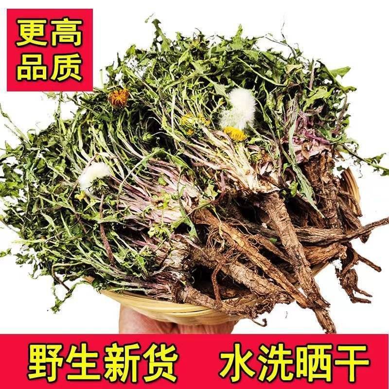 无硫新货野生天然整棵带根晒干的蒲公英茶婆婆丁泡茶产地直发
