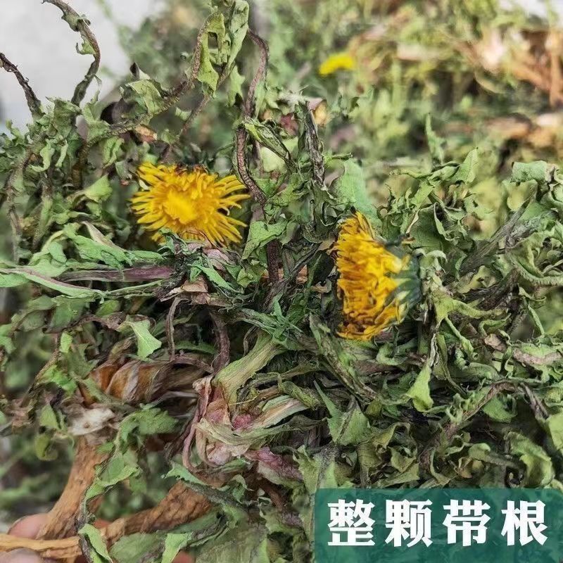 无硫新货野生天然整棵带根晒干的蒲公英茶婆婆丁泡茶产地直发