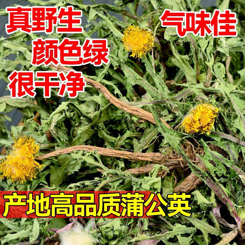 无硫新货野生天然整棵带根晒干的蒲公英茶婆婆丁泡茶产地直发