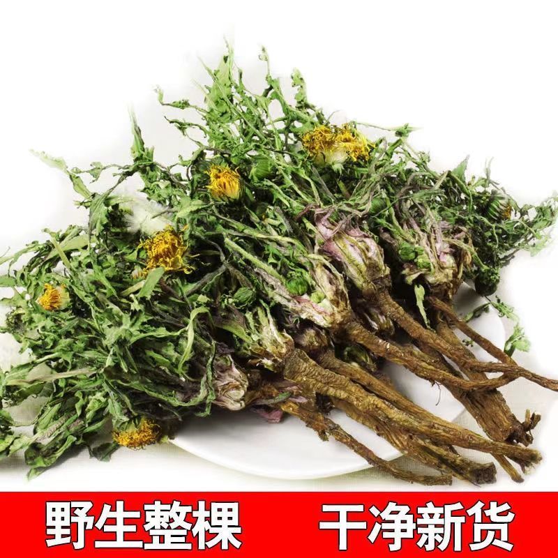 无硫新货野生天然整棵带根晒干的蒲公英茶婆婆丁泡茶产地直发