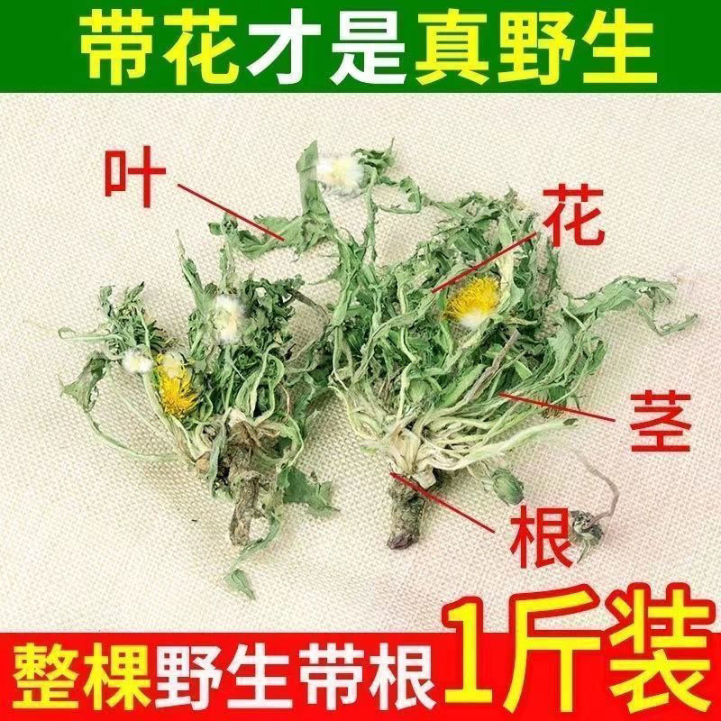 无硫新货野生天然整棵带根晒干的蒲公英茶婆婆丁泡茶产地直发