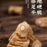 党参党参干货无硫磺甘肃正品党叁批发切段片可配当归煲汤泡水