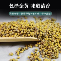 野菊花茶正宗小野菊花中药材无硫新货小花蕾产地直发