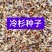 冷杉种子四季常青绿化多年生景观树