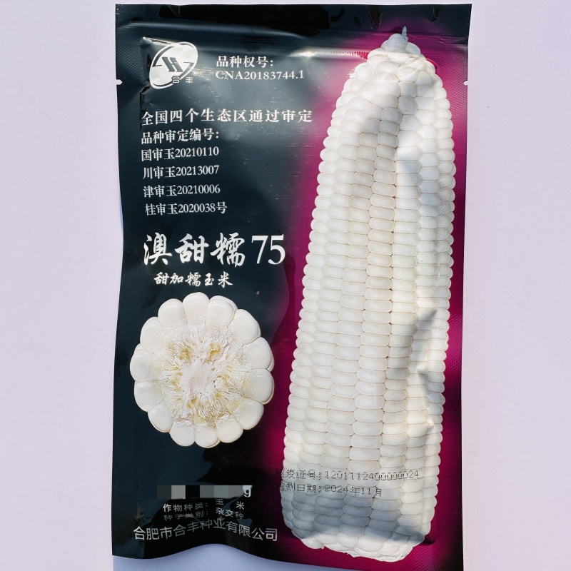 澳甜糯75甜糯玉米种子早熟75天上市大棒甜糯苞谷甜糯