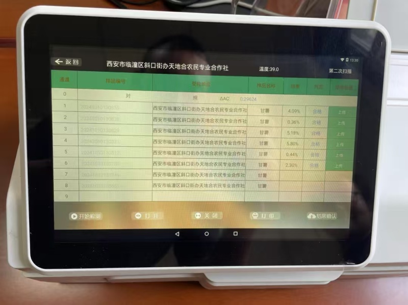 临潼窖藏红薯