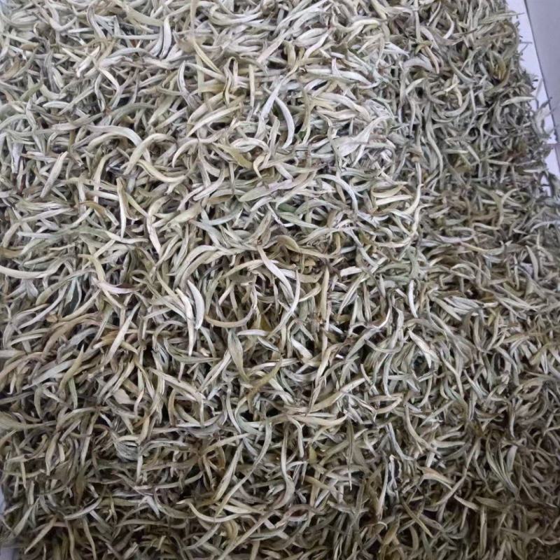 头春茶开始上市啦