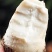 精选山东芋头8520好品质自家种植有保障诚信经营
