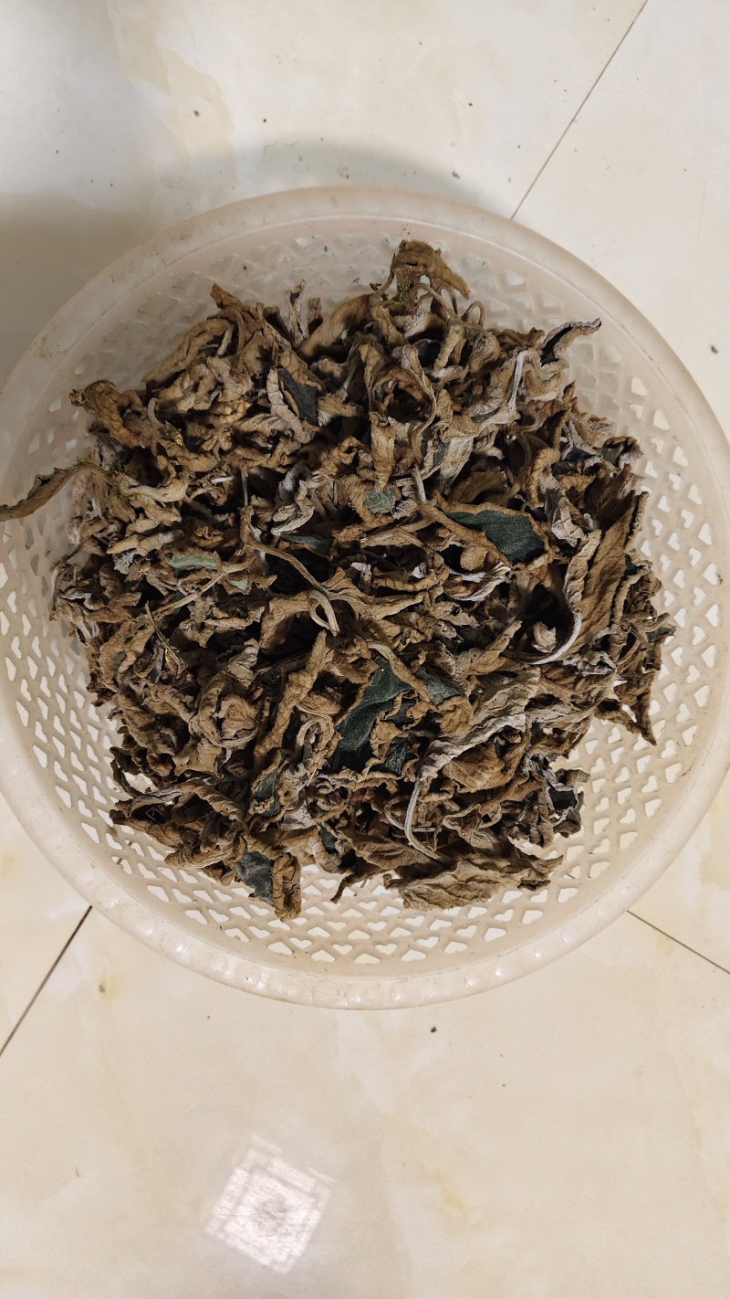 石上莲干品