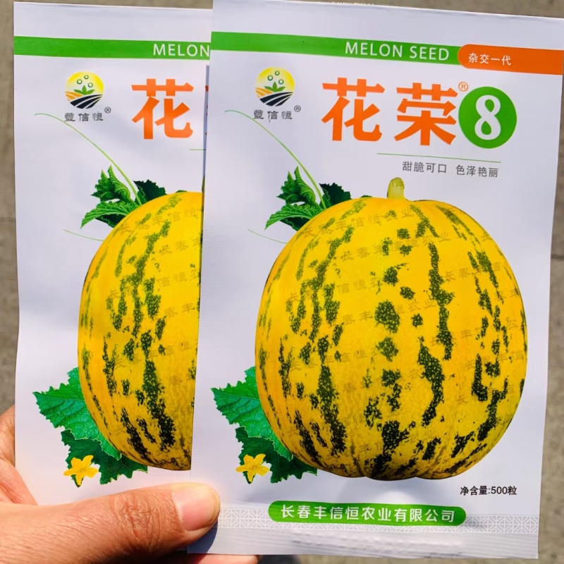 吉糖金兰甜瓜种子升级大果特甜绿肉香瓜种籽八里香甜瓜种子