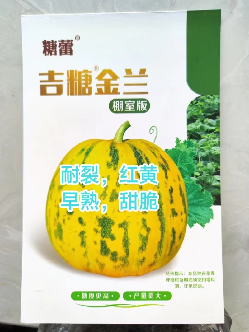吉糖金兰甜瓜种子升级大果特甜绿肉香瓜种籽八里香甜瓜种子