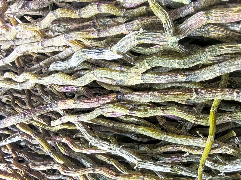 铁皮烤条